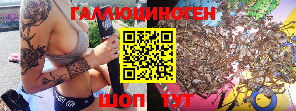 цена   Вход с VPN  Псилоцибиновые грибы GOLDEN TEACHER  Елизово  Галлюциногенные грибы MAGIC MUSHROOMS 